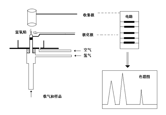 FID檢測器的工作原理示意圖